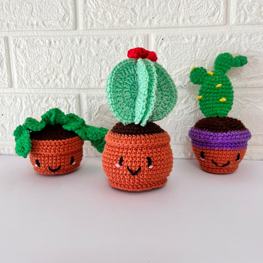 Cactus